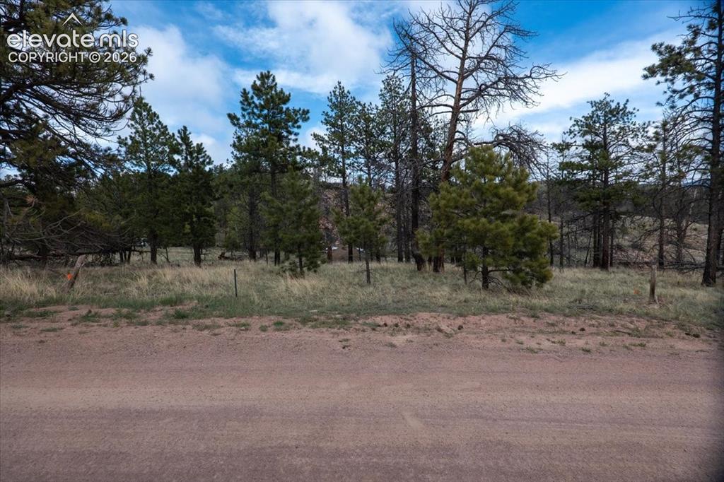 144 Chapparal Trail Florissant CO 80816