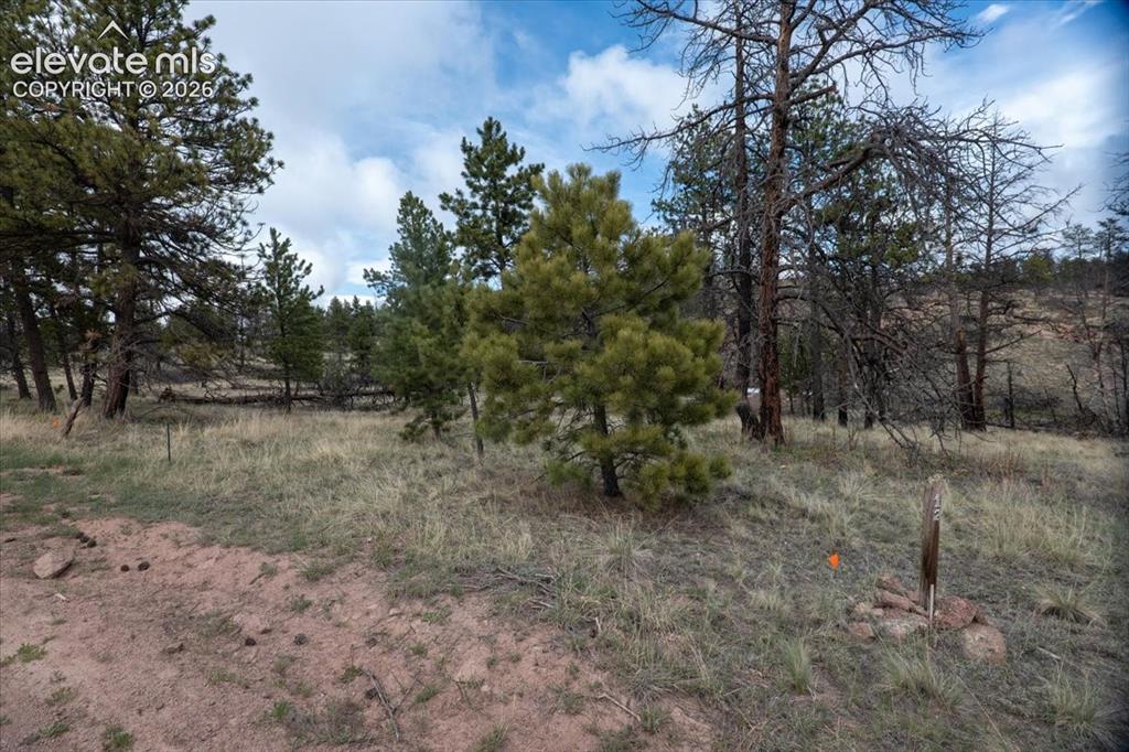 144 Chapparal Trail Florissant CO 80816