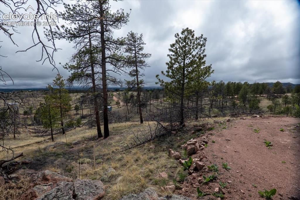 144 Chapparal Trail Florissant CO 80816