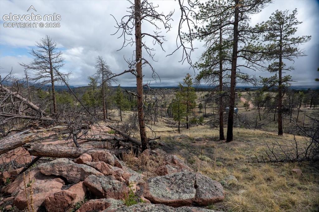 144 Chapparal Trail Florissant CO 80816