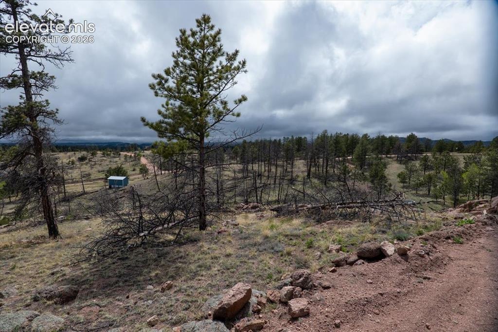 144 Chapparal Trail Florissant CO 80816