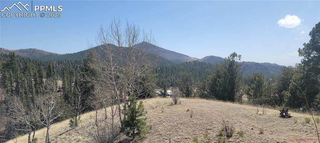 257 Portland Drive Cripple Creek CO 80813