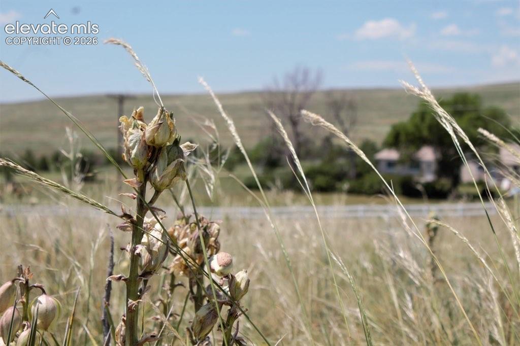 Tract 11 Mcclelland Road Calhan CO 80808