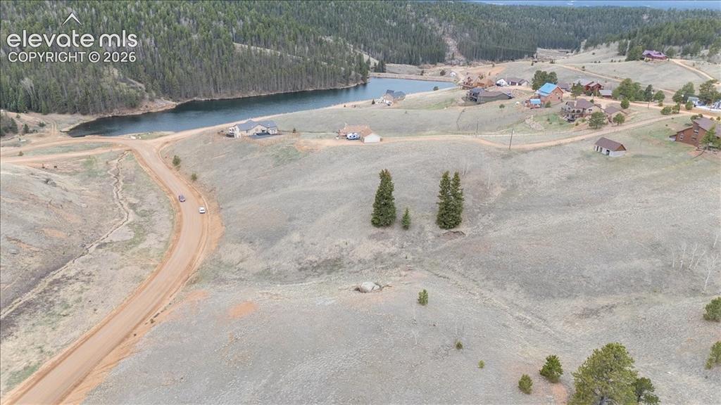 175 Twin Lakes Drive Divide CO 80814