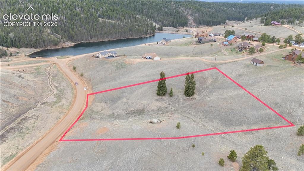 175 Twin Lakes Drive Divide CO 80814