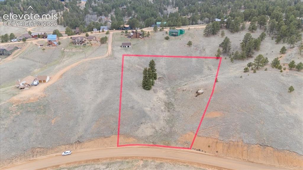 175 Twin Lakes Drive Divide CO 80814