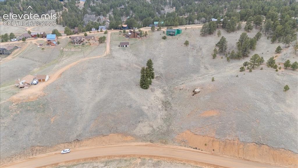 175 Twin Lakes Drive Divide CO 80814