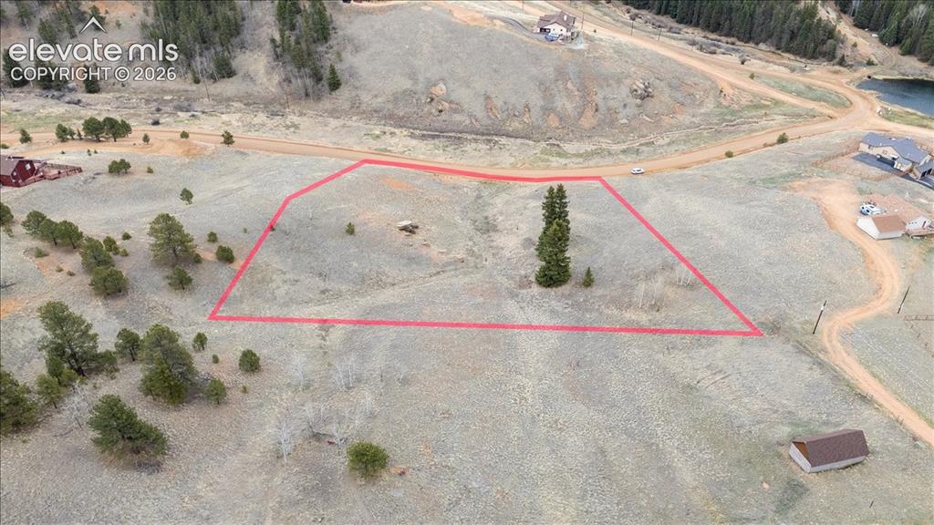 175 Twin Lakes Drive Divide CO 80814