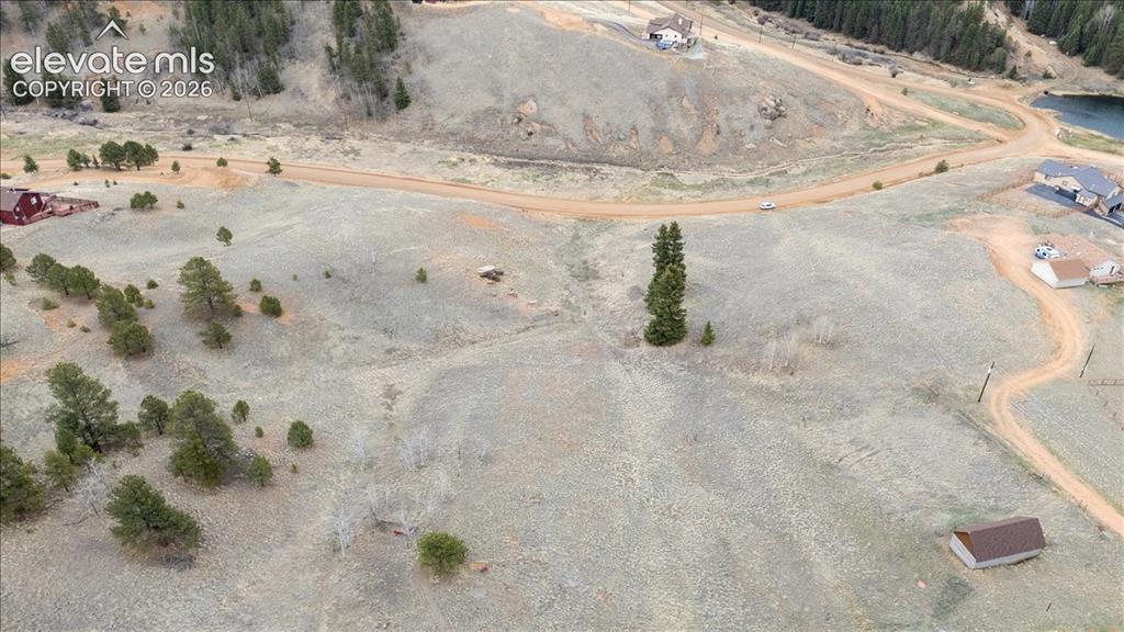 175 Twin Lakes Drive Divide CO 80814