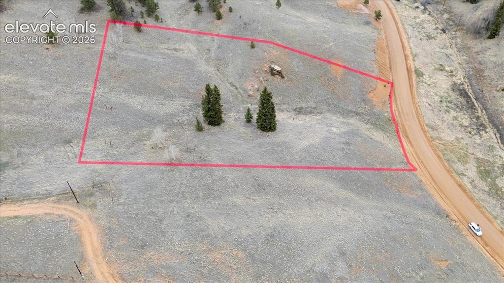 175 Twin Lakes Drive Divide CO 80814