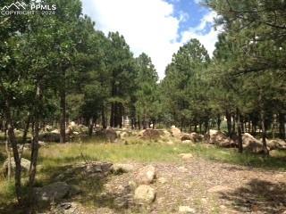 667 Silver Oak Grove Colorado Springs CO 80906