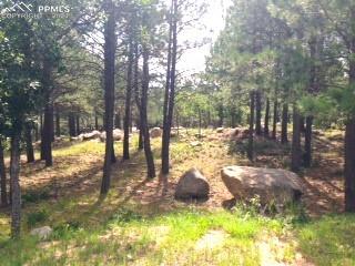 667 Silver Oak Grove Colorado Springs CO 80906