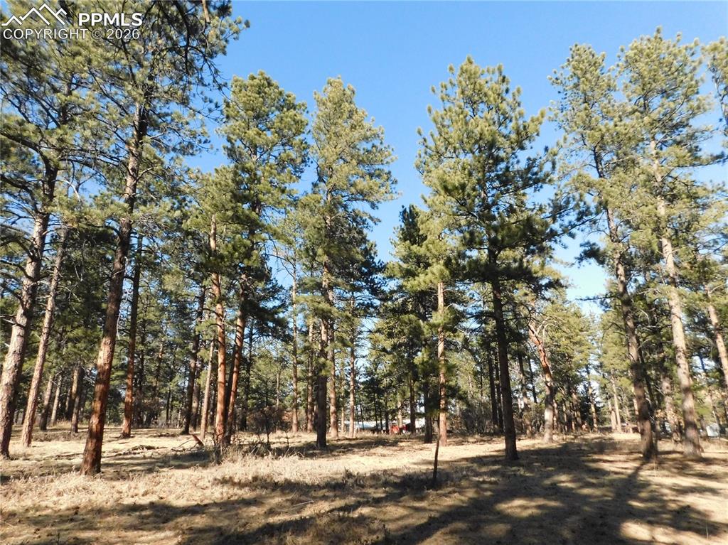 5845 S Pike Drive Larkspur CO 80118