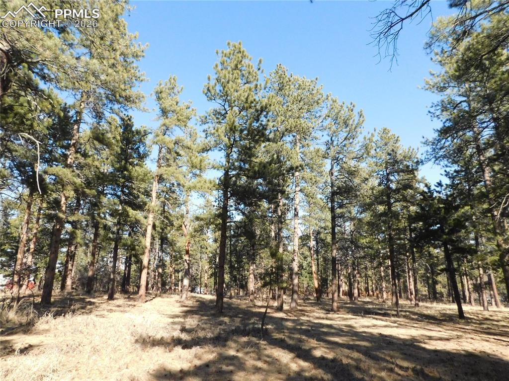 5845 S Pike Drive Larkspur CO 80118
