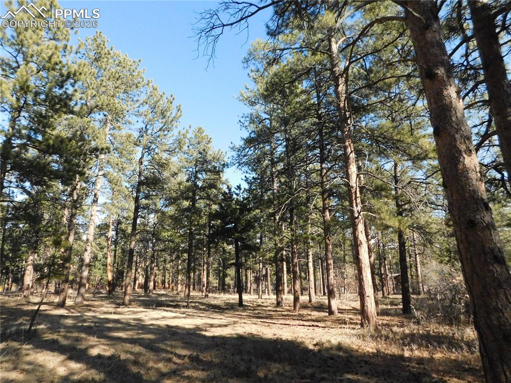 5845 S Pike Drive Larkspur CO 80118