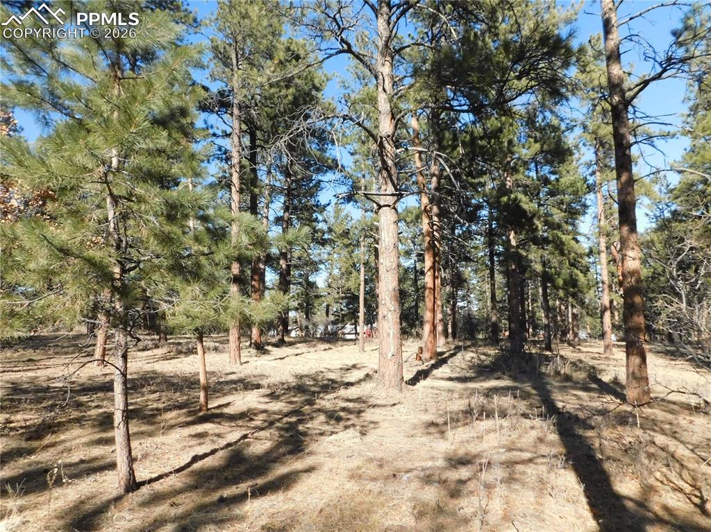5845 S Pike Drive Larkspur CO 80118