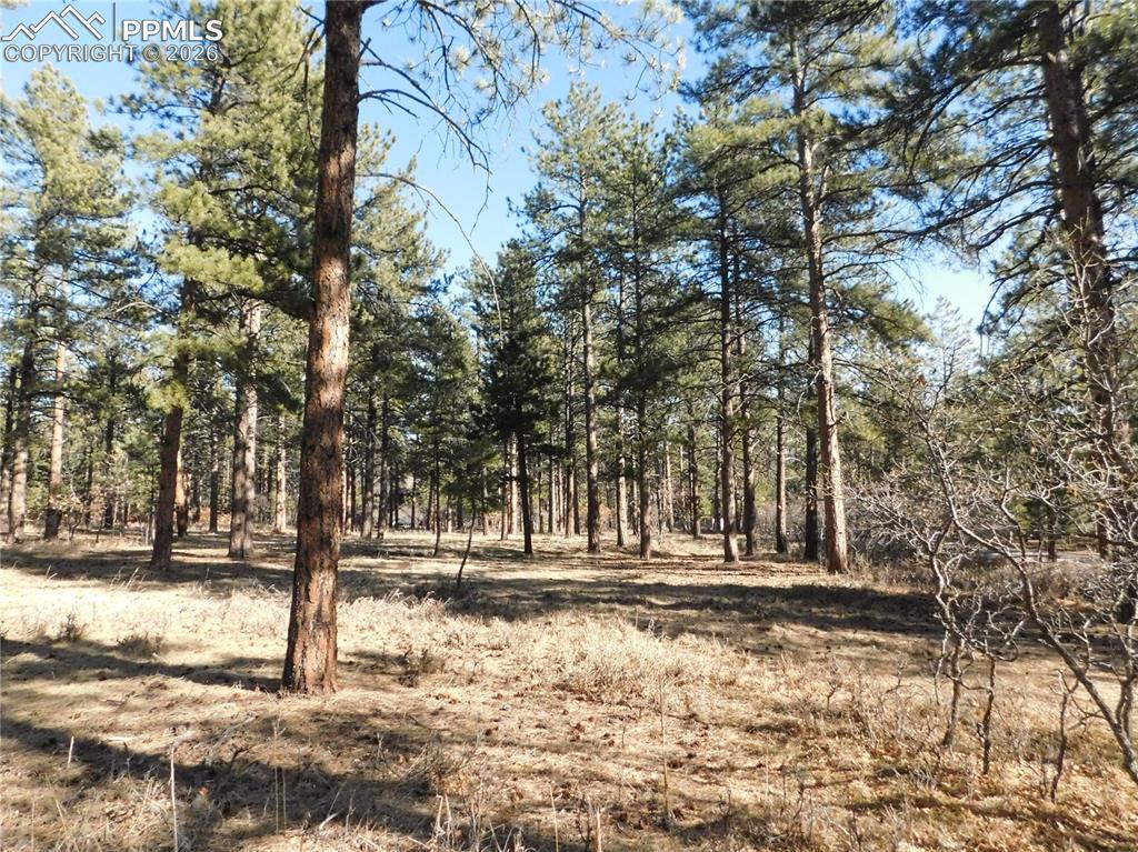 5845 S Pike Drive Larkspur CO 80118