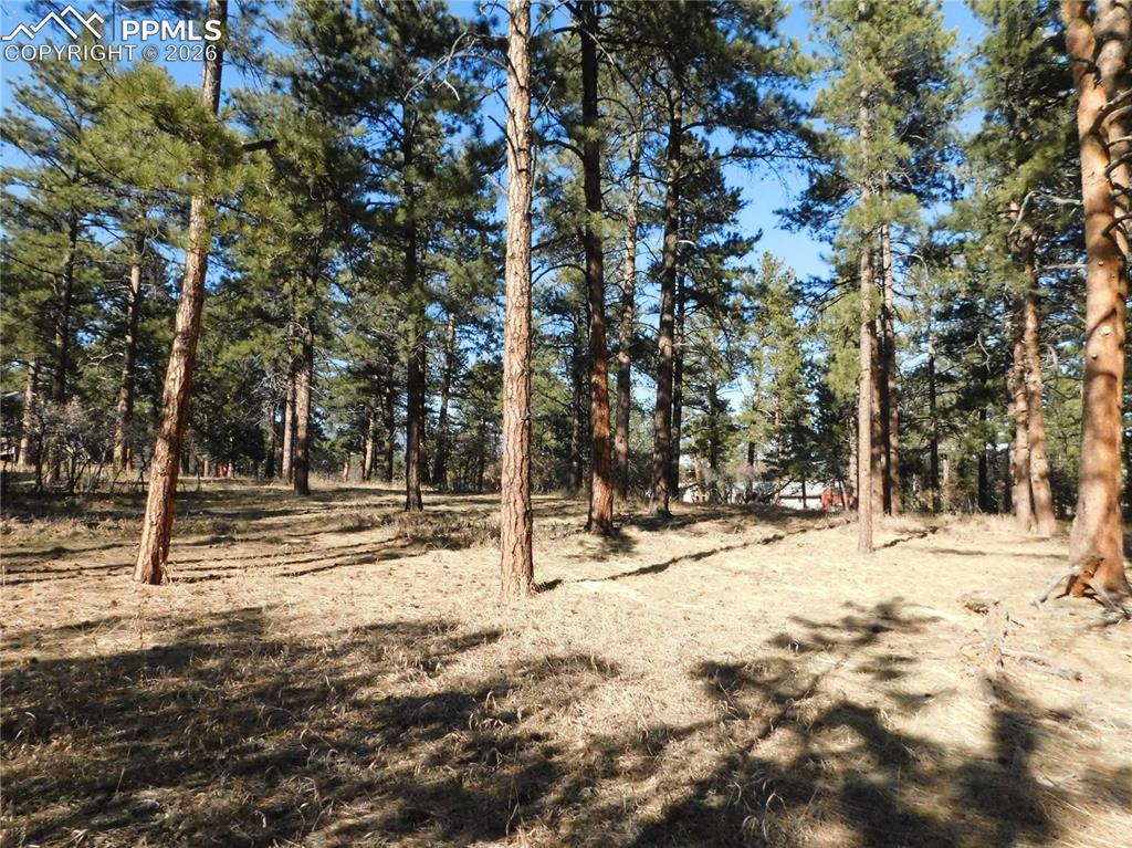 5845 S Pike Drive Larkspur CO 80118