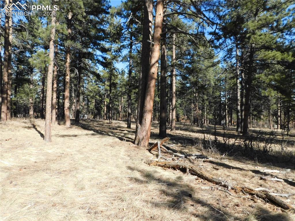 5845 S Pike Drive Larkspur CO 80118