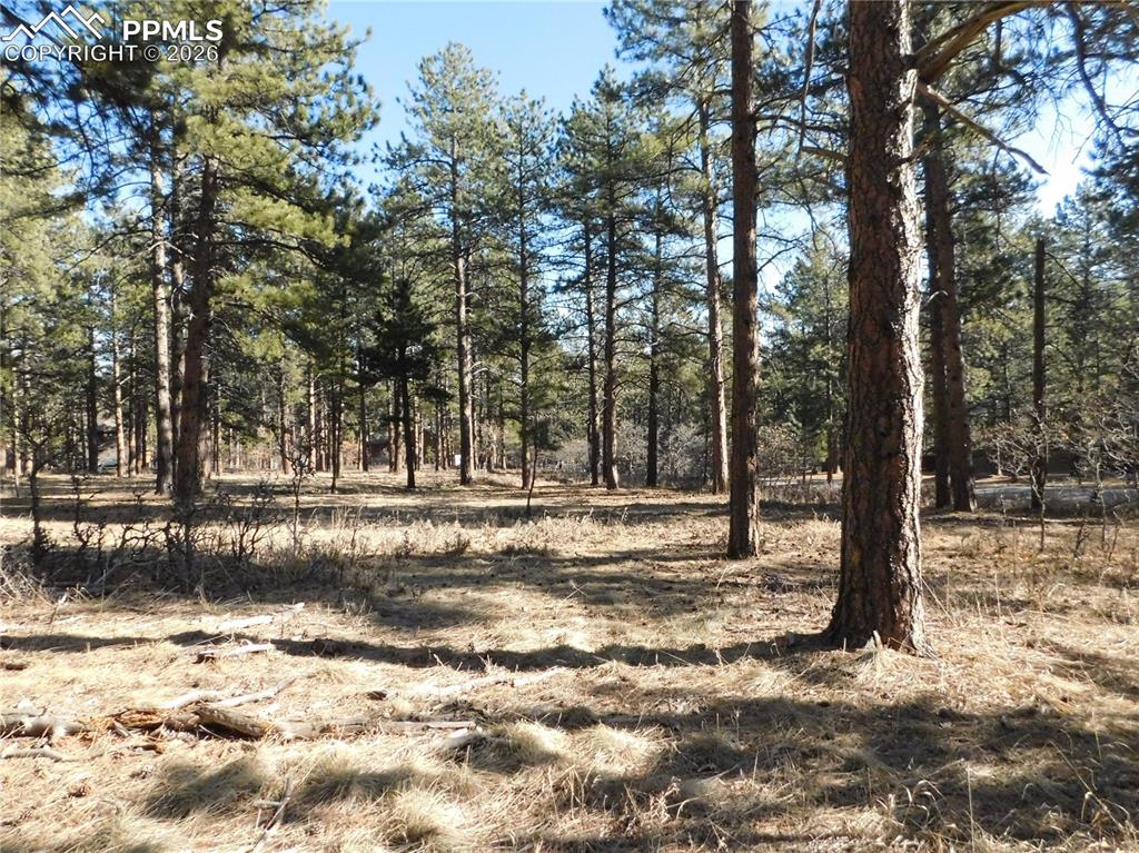 5845 S Pike Drive Larkspur CO 80118