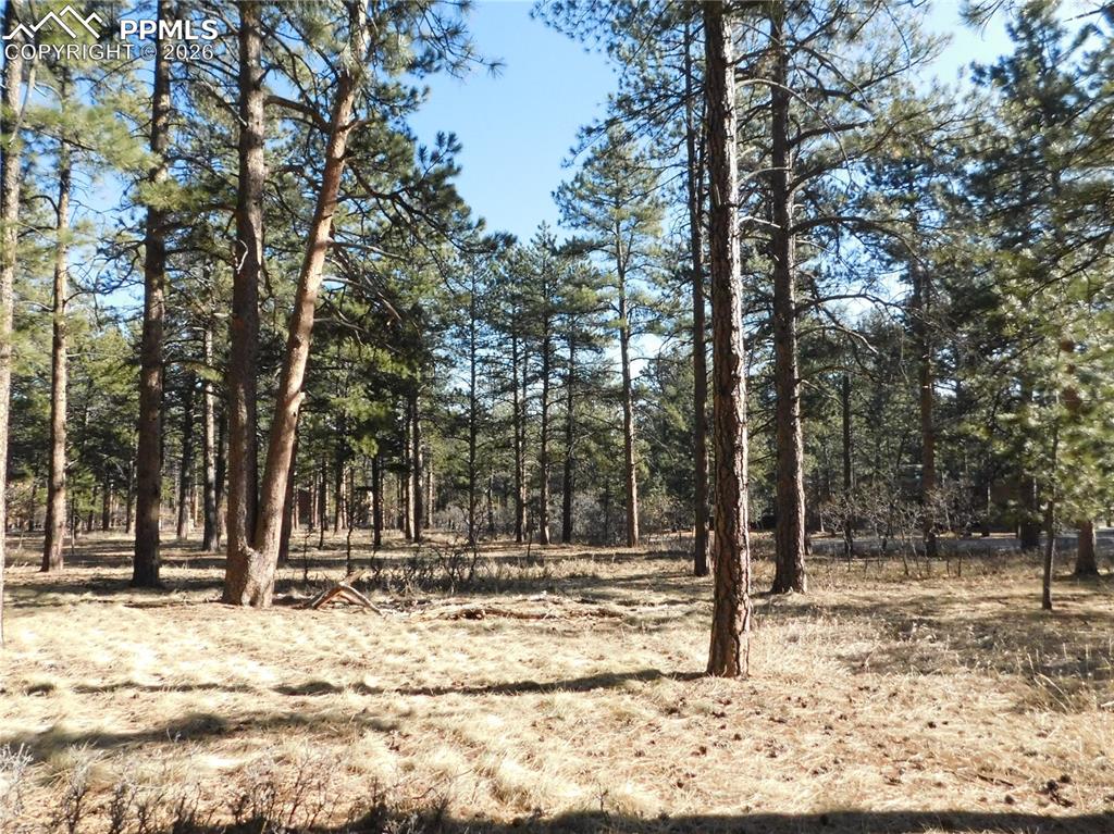 5845 S Pike Drive Larkspur CO 80118