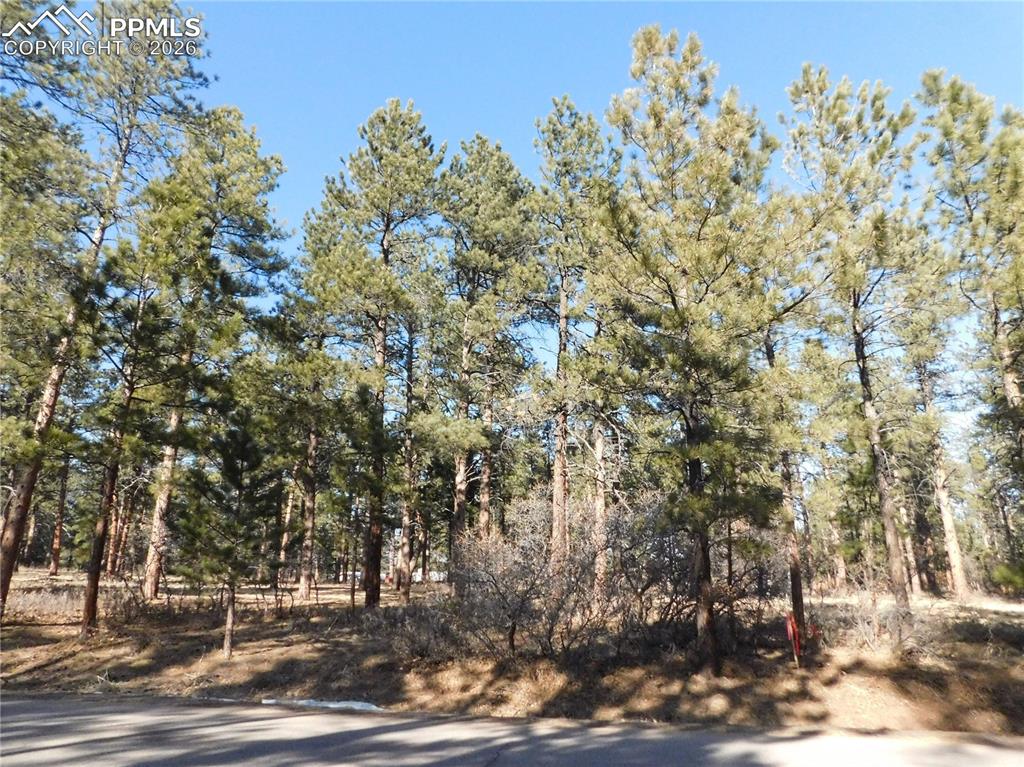 5845 S Pike Drive Larkspur CO 80118