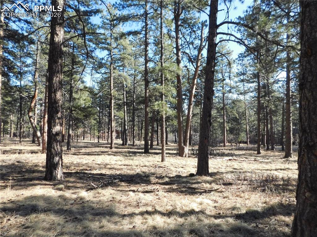 5845 S Pike Drive Larkspur CO 80118