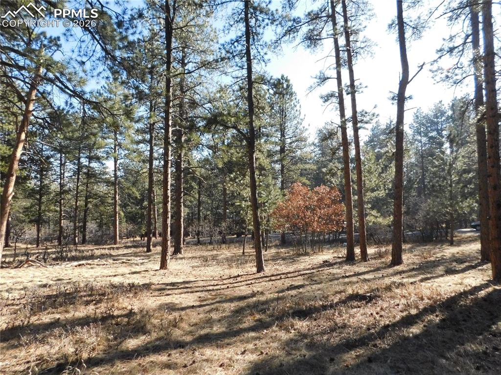 5845 S Pike Drive Larkspur CO 80118