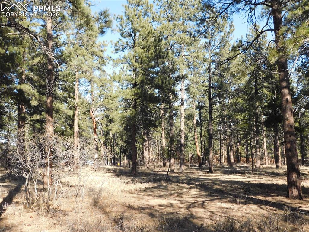 5845 S Pike Drive Larkspur CO 80118