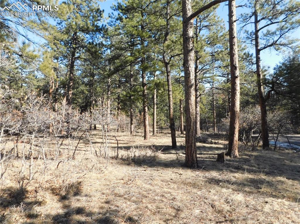 5845 S Pike Drive Larkspur CO 80118