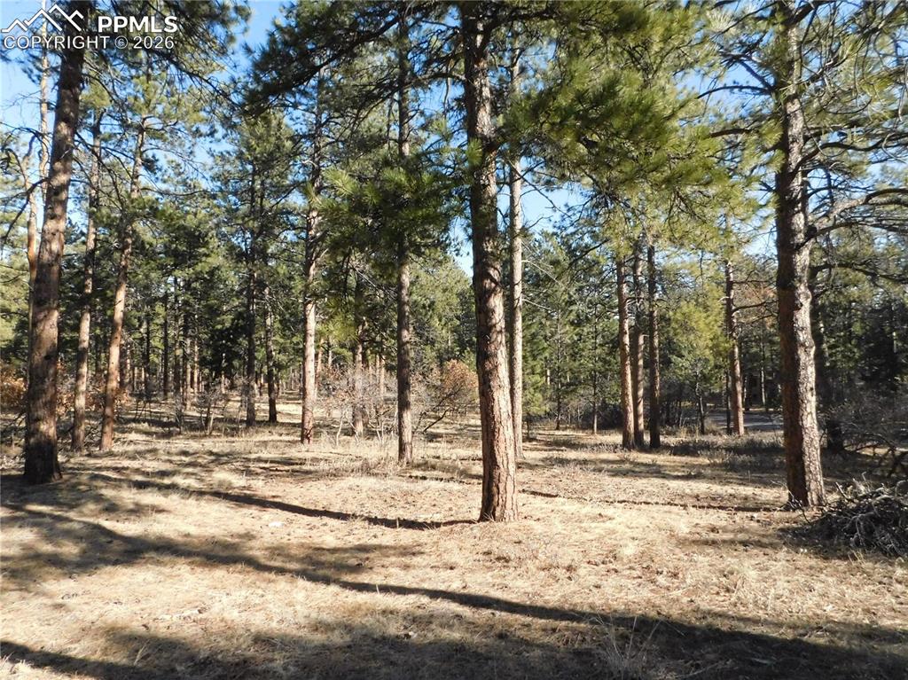 5845 S Pike Drive Larkspur CO 80118