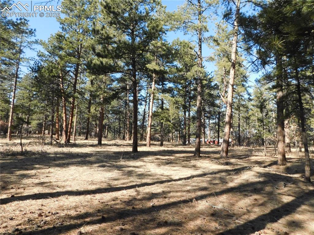 5845 S Pike Drive Larkspur CO 80118