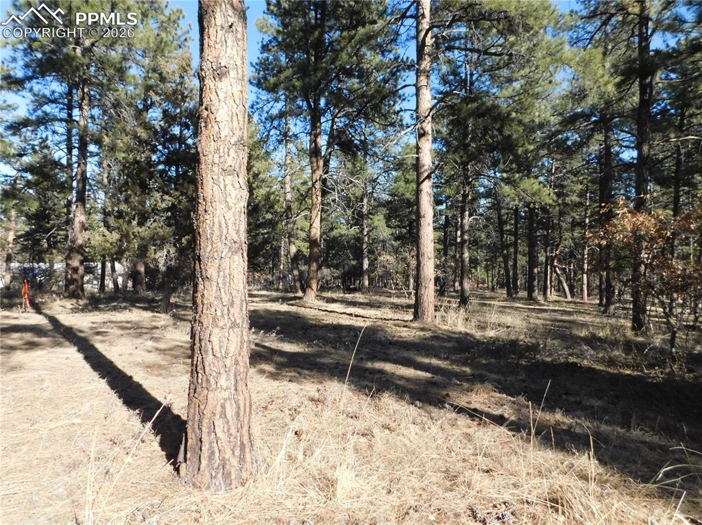 5845 S Pike Drive Larkspur CO 80118