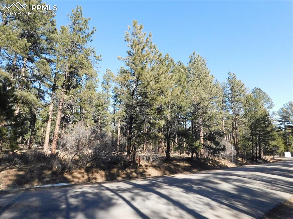 5845 S Pike Drive Larkspur CO 80118