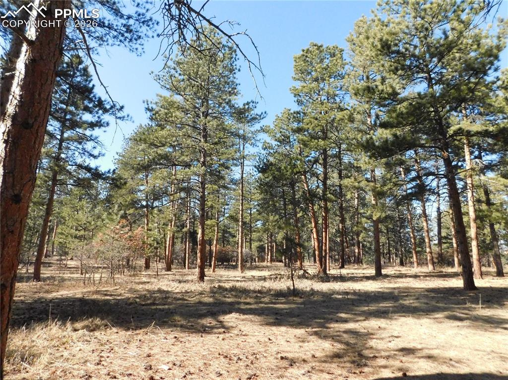 5845 S Pike Drive Larkspur CO 80118