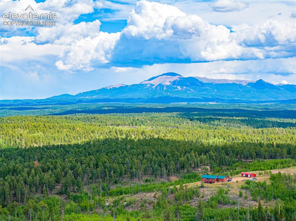 Unit 4 County Road 51 Florissant CO 80816