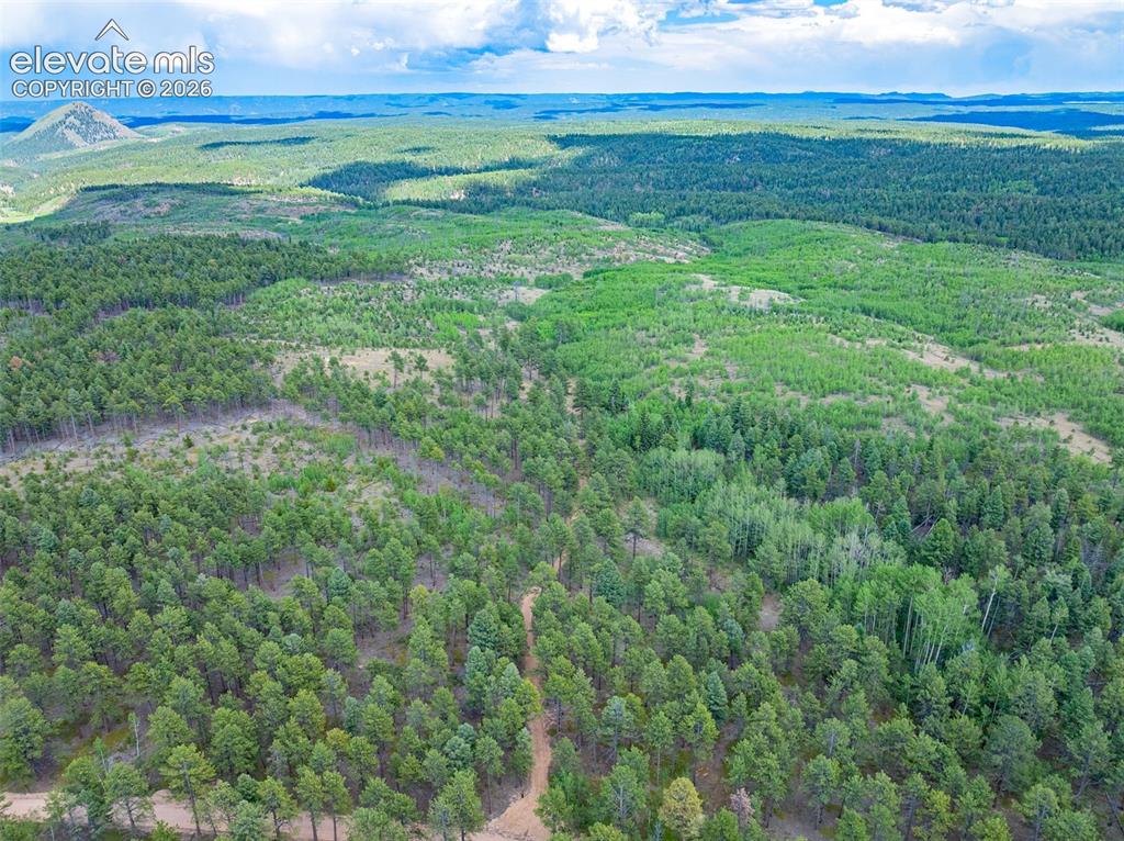 Unit 4 County Road 51 Florissant CO 80816