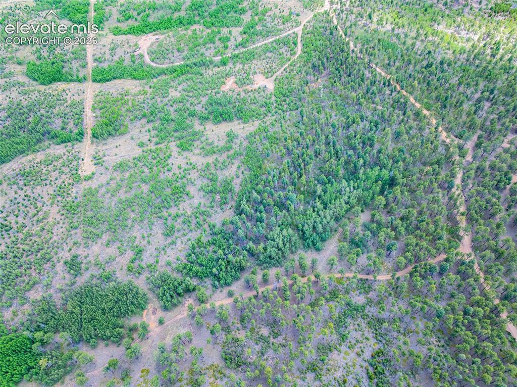 Unit 4 County Road 51 Florissant CO 80816