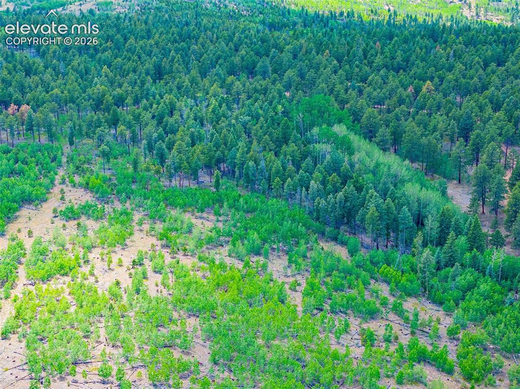 Unit 4 County Road 51 Florissant CO 80816