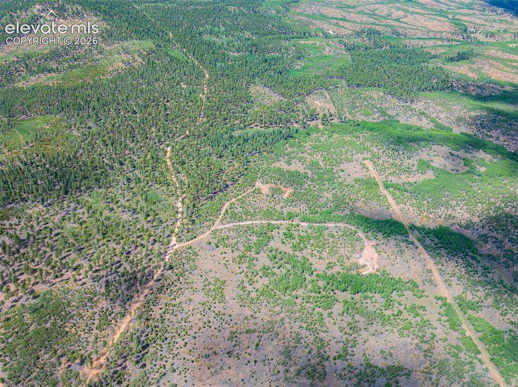 Unit 4 County Road 51 Florissant CO 80816