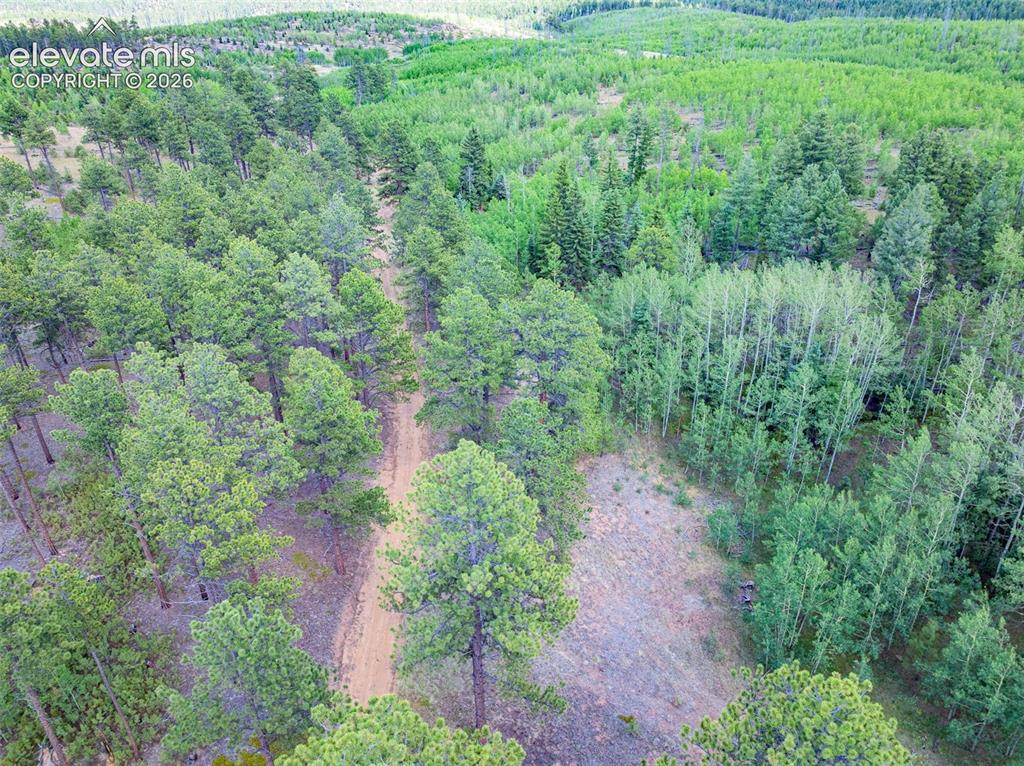 Unit 4 County Road 51 Florissant CO 80816
