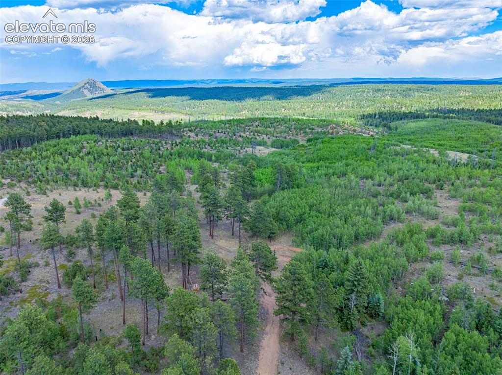Unit 4 County Road 51 Florissant CO 80816
