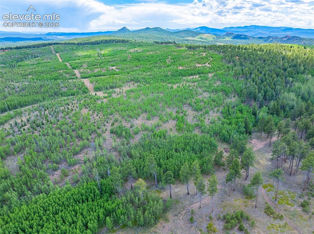 Unit 4 County Road 51 Florissant CO 80816