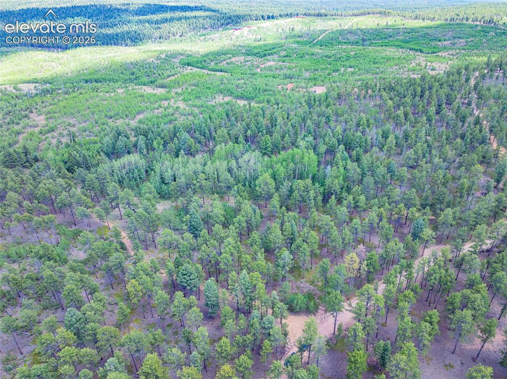 Unit 4 County Road 51 Florissant CO 80816