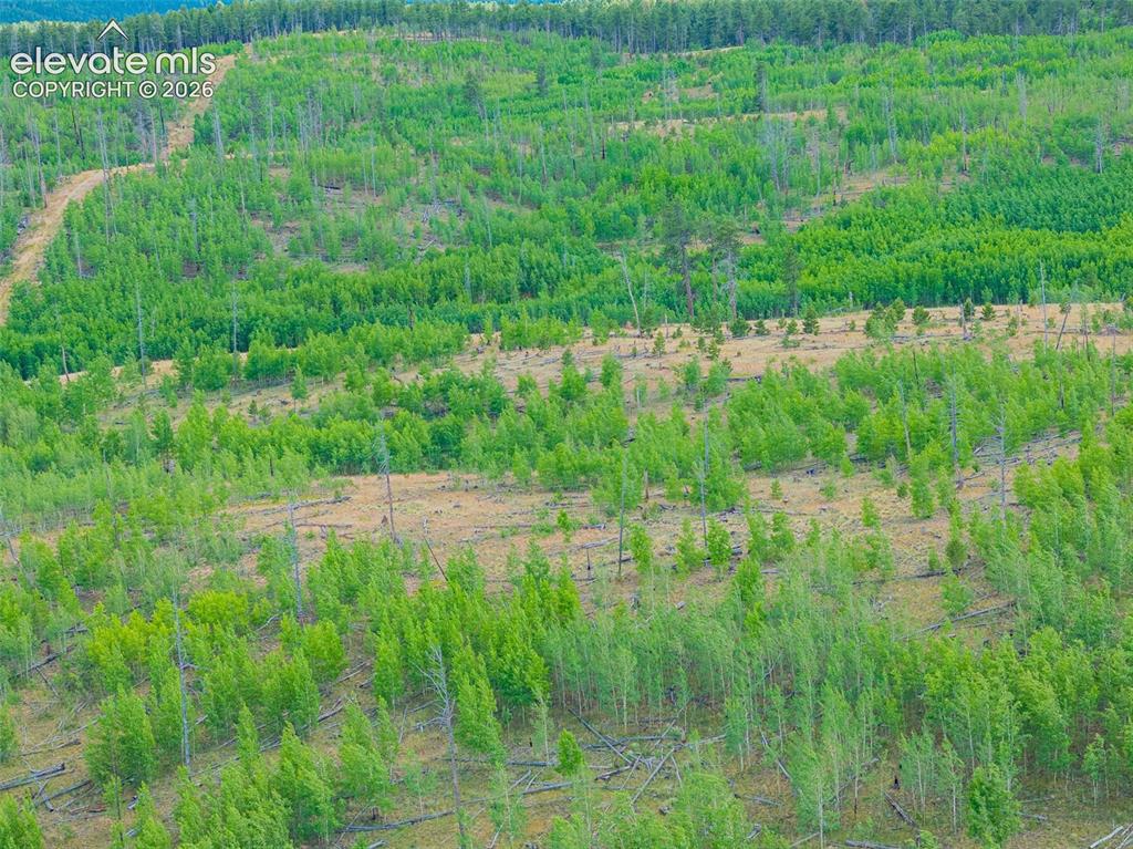 Unit 4 County Road 51 Florissant CO 80816