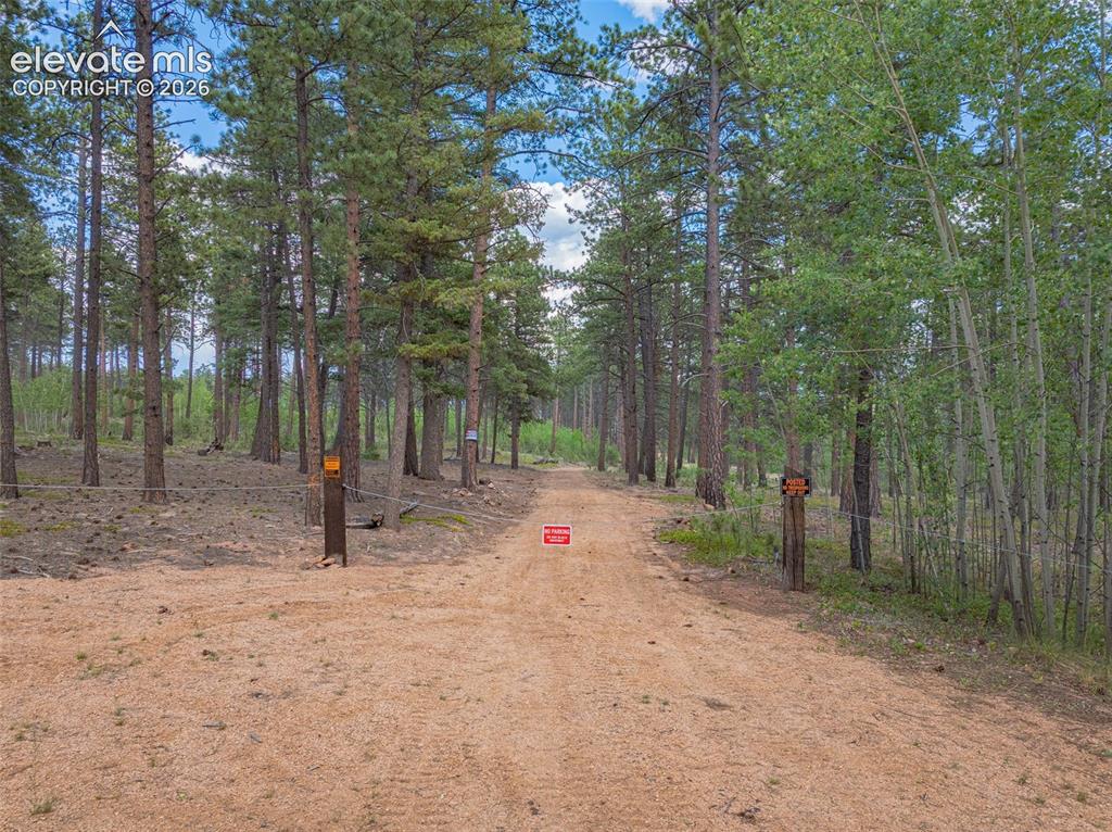 Unit 4 County Road 51 Florissant CO 80816