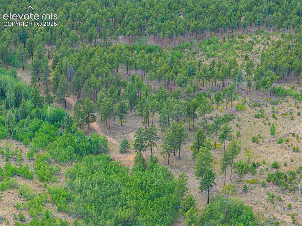 Unit 4 County Road 51 Florissant CO 80816