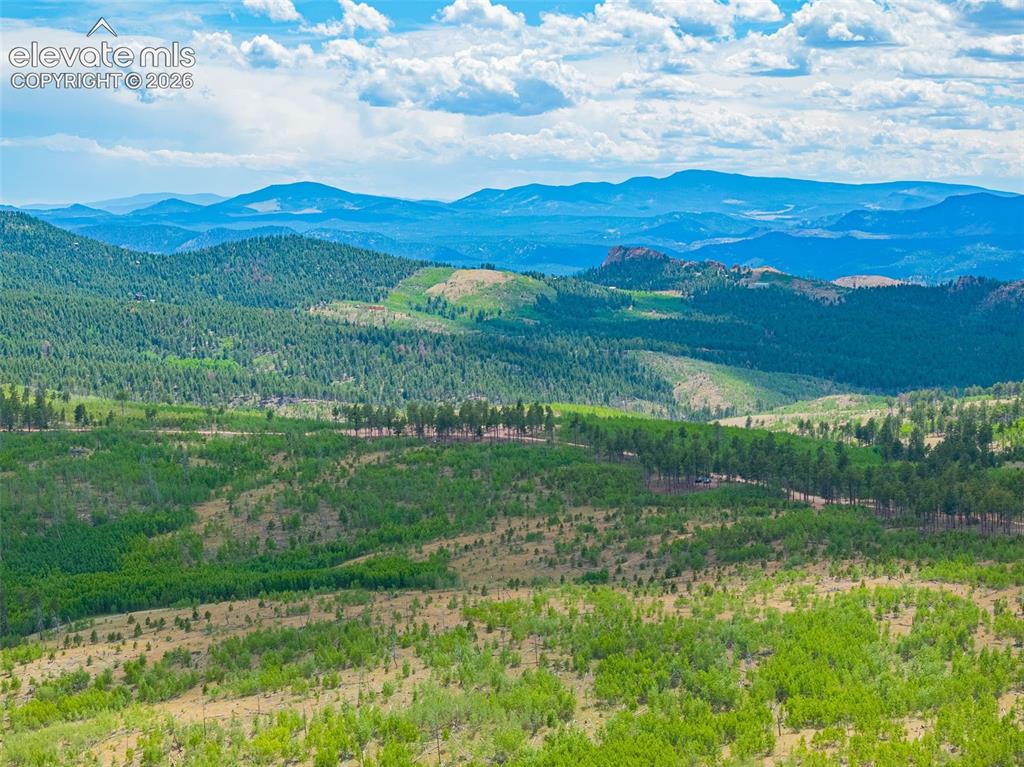 Unit 4 County Road 51 Florissant CO 80816