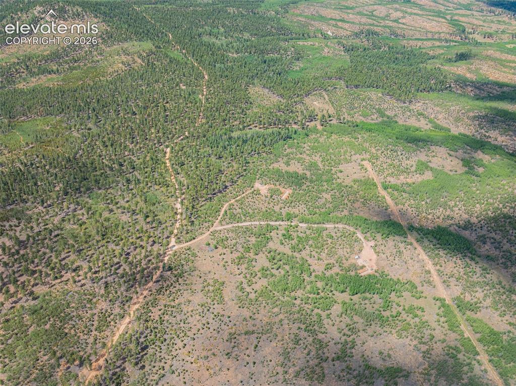 Unit 4 County Road 51 Florissant CO 80816
