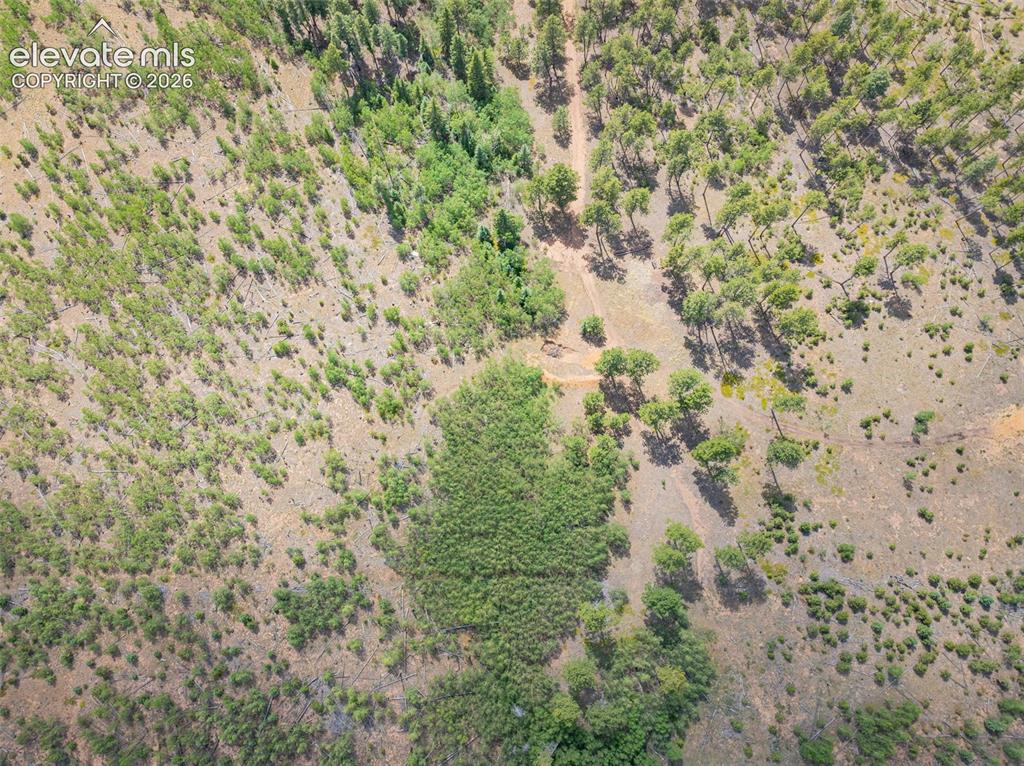 Unit 4 County Road 51 Florissant CO 80816